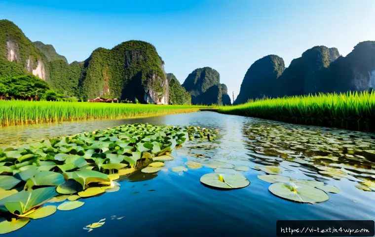 Cách thích ứng khi công việc thay đổi: Lộ trình nâng kỹ năng và lựa chọn đầu tư phù hợp 4 직무 변화에 대한 실질적 대응 방안 관련 이미지 2